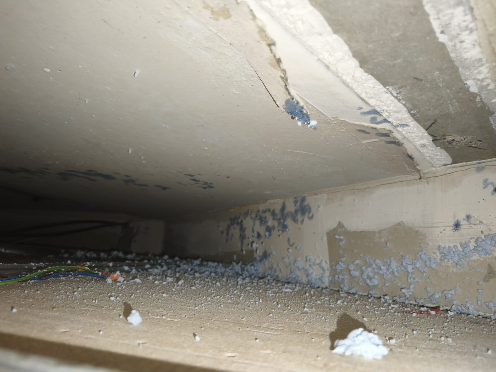 Rodenticide de contact de couleur bleue appliqué sur les cheminements de souris dans un faux plafond