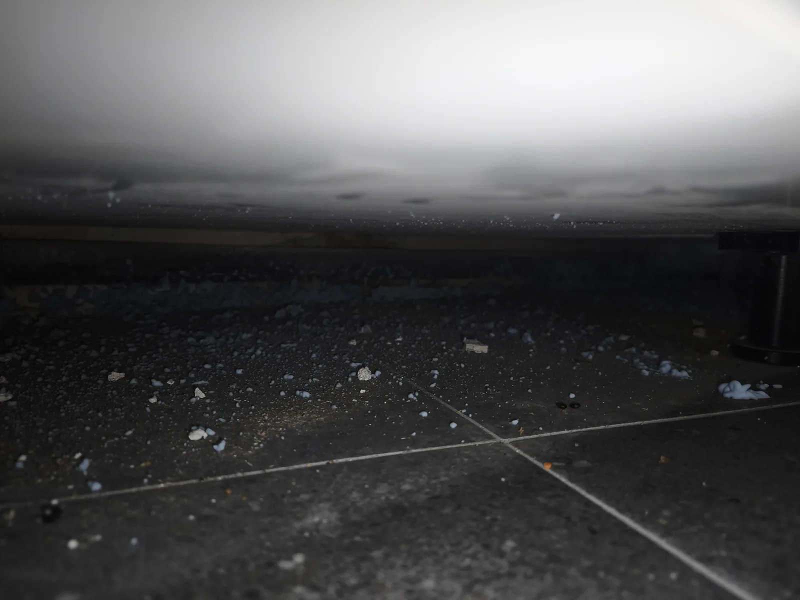 Mouse droppings under a kitchen unit next to a cordon of contact rodenticide, ODF visit in an apartment in Paris 4e