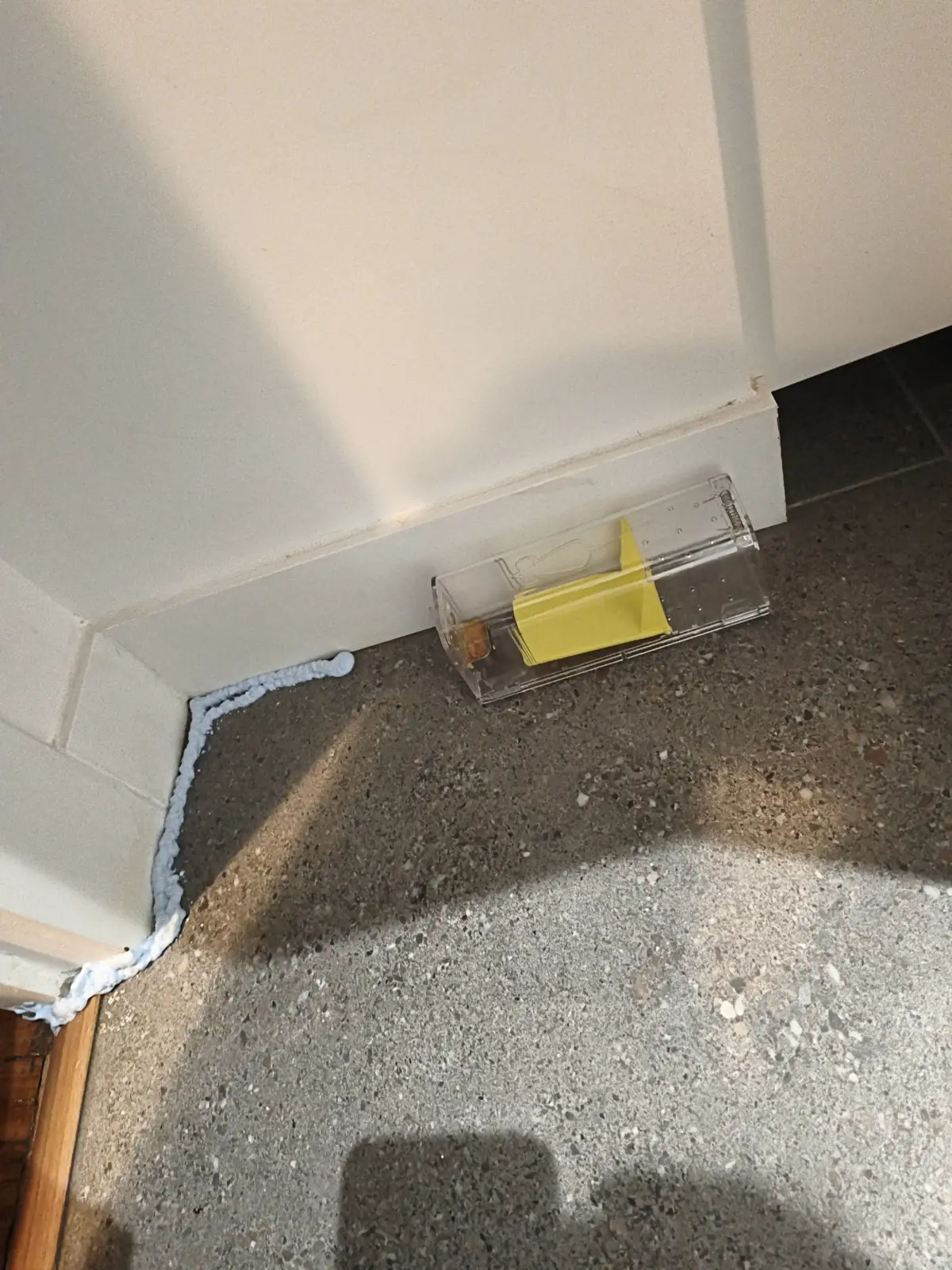 Shop-bought mouse catch trap that caught nothing, found by the ODF technician in an apartment in Paris 4e